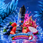 Dr Vapes Panther X Salt Nic Blueberry Strawberry Dragonfruit